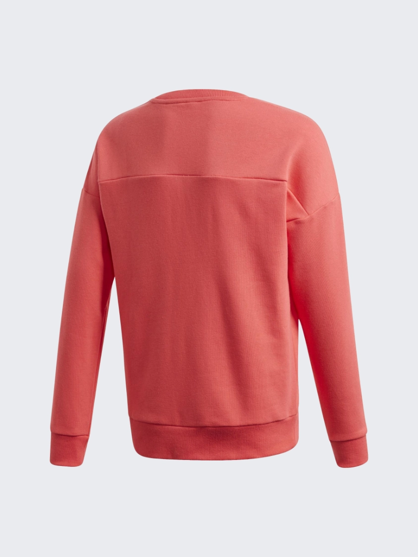 Adidas Must Haves Crew Kids-Girls Training Sweatshirt Pink/White