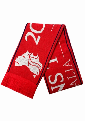 Burley Sekem British Lions 2013 Australia Tour Scarf