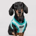 Puppia Luke Harness B
